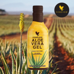 Read more about the article Aloeveraproduktai.lt – natūralių sprendimų centras jūsų sveikatai
