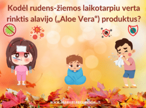 Read more about the article Kodėl rudens-žiemos laikotarpiu verta rinktis alavijo („Aloe Vera“) produktus?